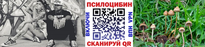 Галлюциногенные грибы Magic Shrooms  что такое   Кондопога 